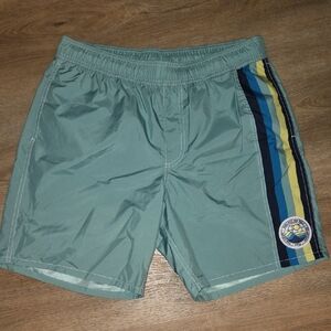 Vans Men's Sage Green Swim Shorts with Side Stripe